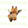 Žirafka Žofka - autorská, originální brož