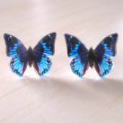 Motýlci č. 55 - originální náušnice, puzety