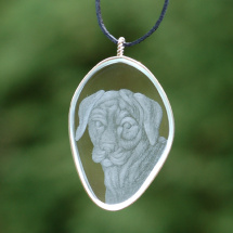 Rhodéský ridgeback