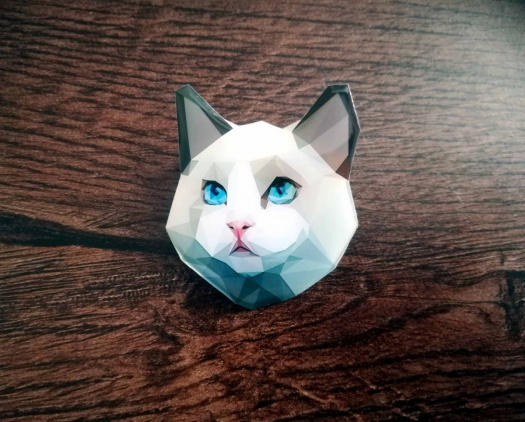 Kočička s modrými kukadly - autorská brož