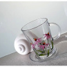 ECHINACEA TĚ VYLÉČÍ - 400 ML.