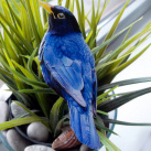 Modrý ptáček - autorská brož