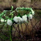 Květinový věneček do vlasů_bílé růže a perly