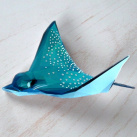 Rejnok - originální, autorská brož