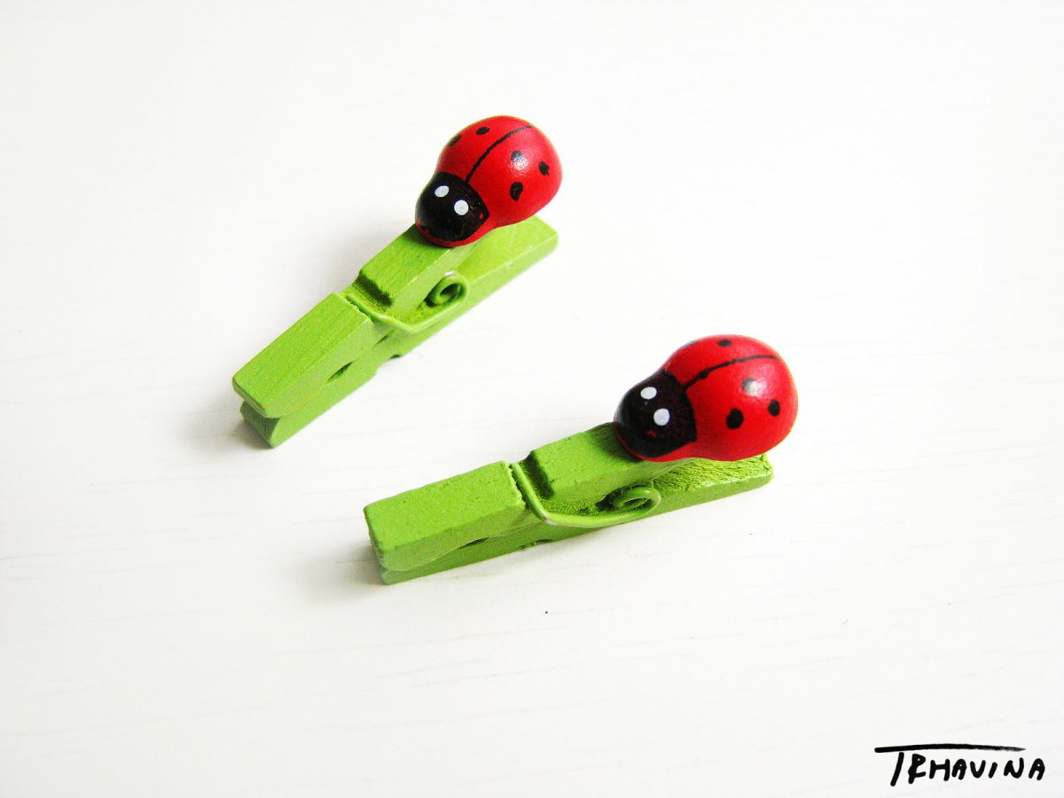 Kolíček s beruškou