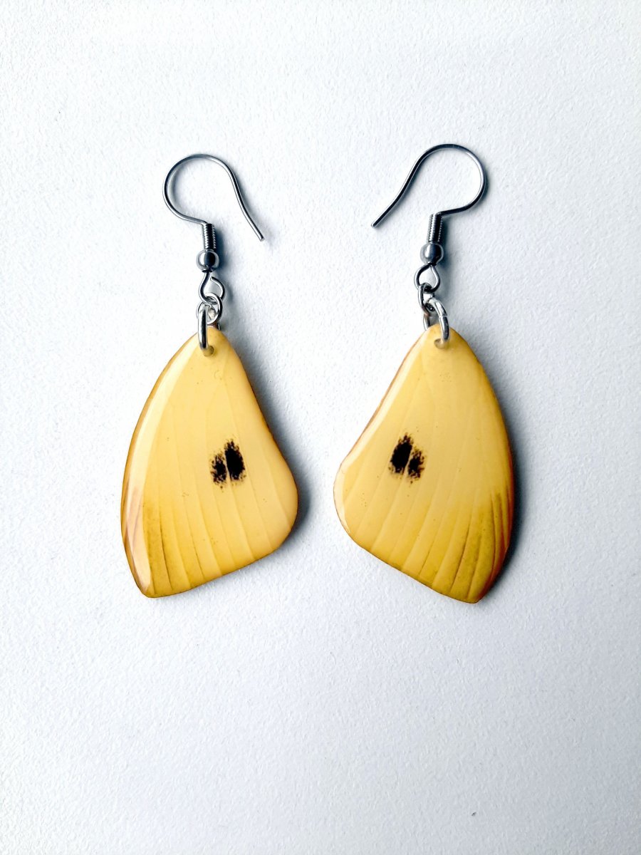 Motýlí křídla č.119 - křišťálová pryskyřice, háčky jsou z chirurg. oceli