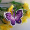 Háčkovaný motýlek čyřbarevný- fialovobílý