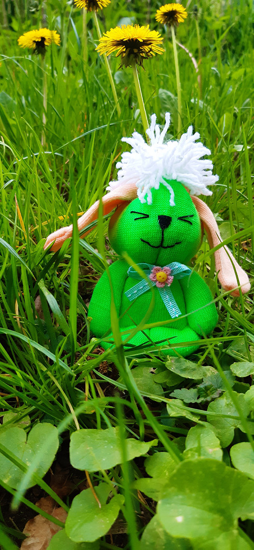 Zajíček Benjamínek . č.1999