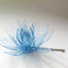 Astra blue spinátko