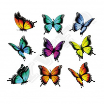 Nažehlovací obrázek - motýlci větší sada 9 ks