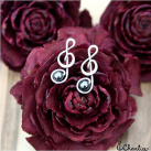 HOUSLOVÝ KLÍČ - HEMATIT - tepané - pecky - chirurgická ocel