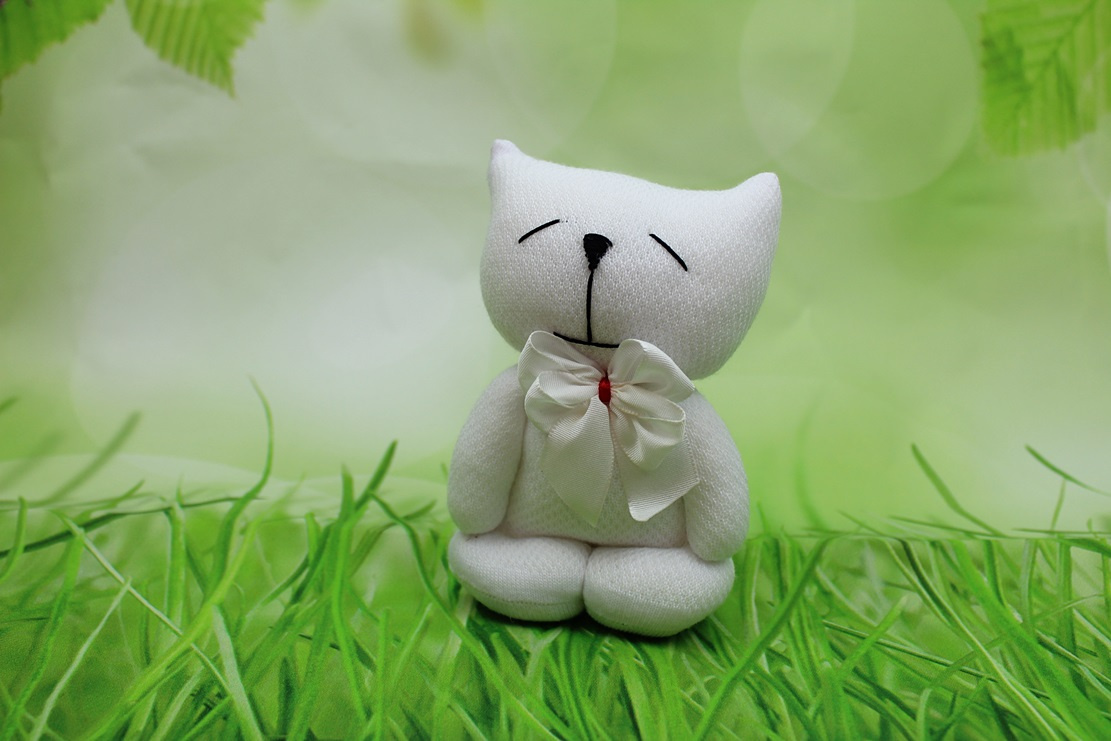 Bílá kočička. č.2059