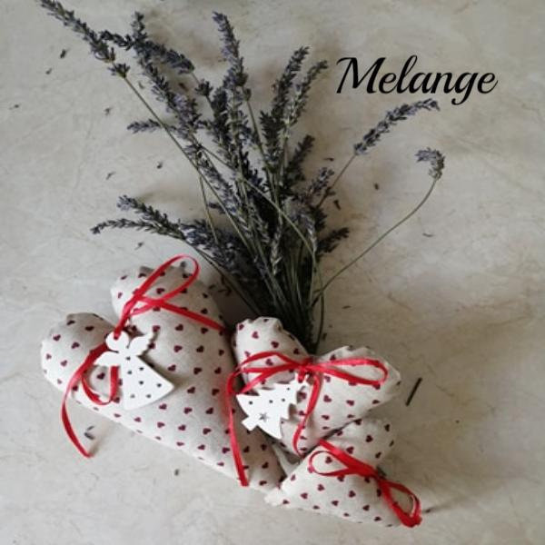 Sada v režné- srdíčka levandulí