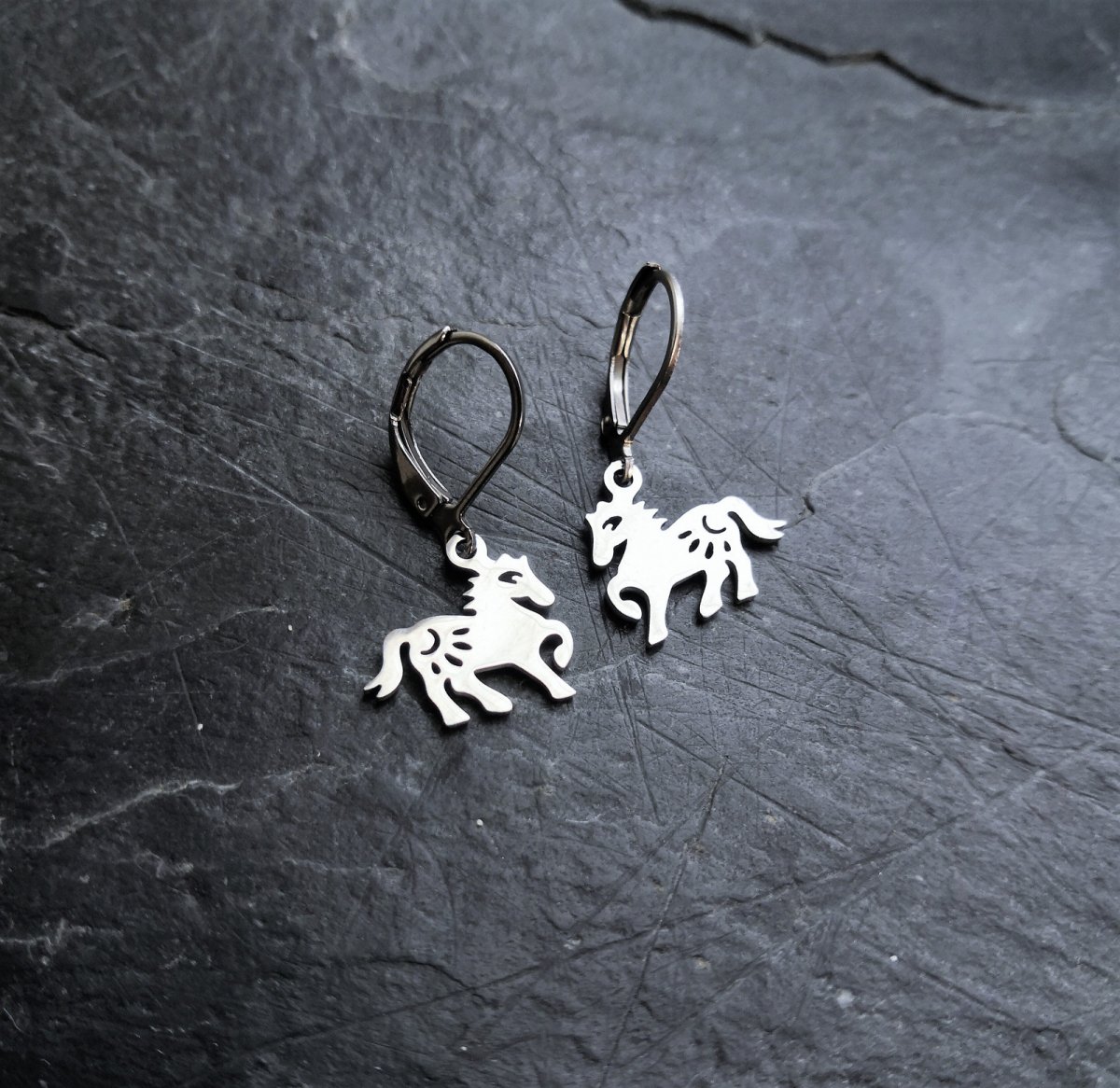 Náušnice*koníčci*chir.ocel