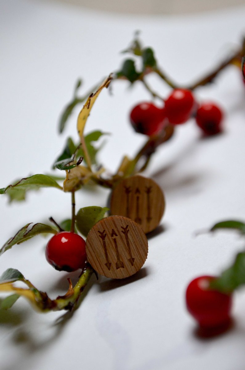 Indiánům na stopě...