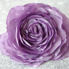 Šeříková růže.