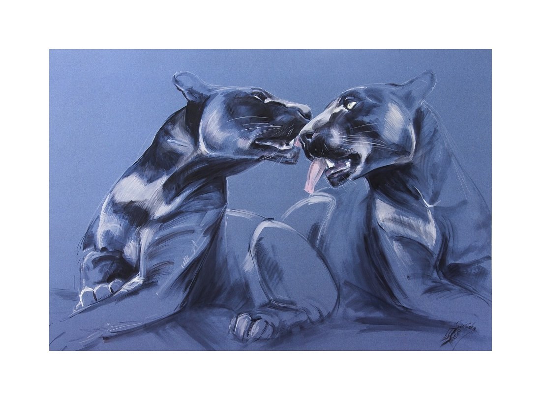 Absolutě nejkrásnější černá