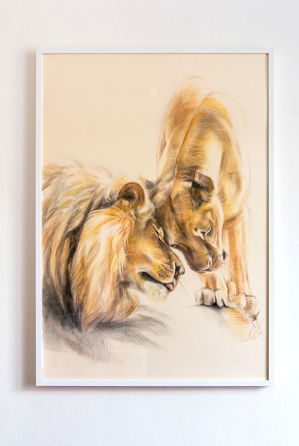 Lví konejšivé signály