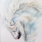 Passion lehce do modra