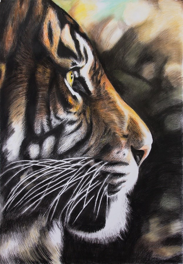 Vstříc budoucnosti