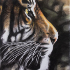 Vstříc budoucnosti