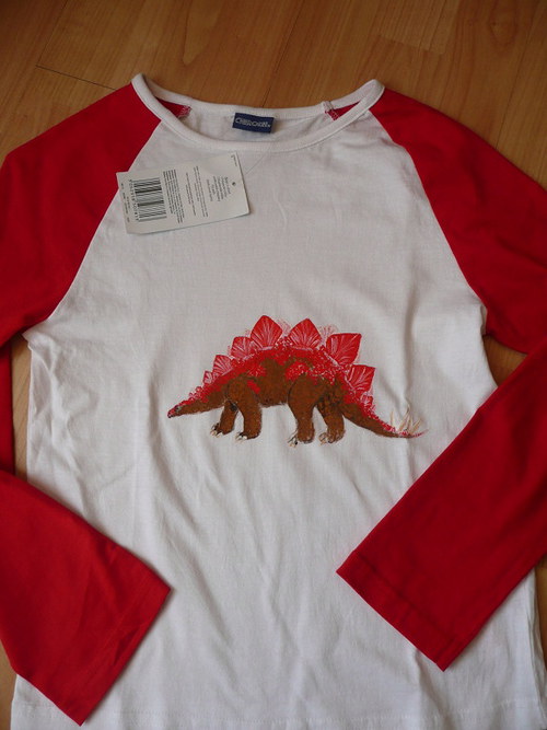 TRIČKO S RUČNĚ MALOVANÝM STEGOSAUREM!!!!!!!!