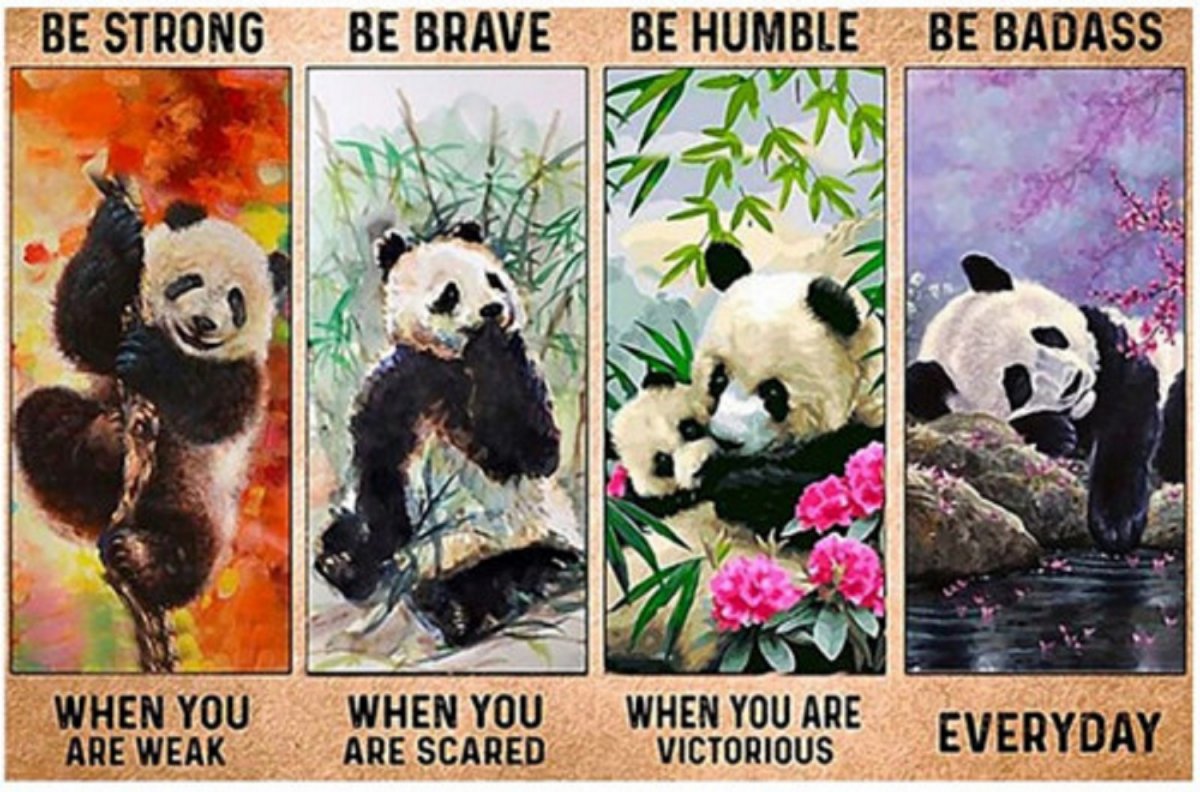 Nažehlovací obrázek 24*16 cm