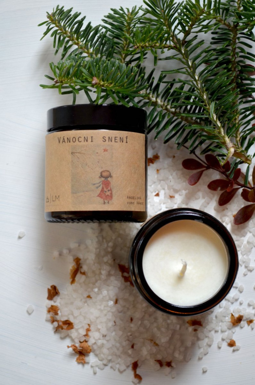 Sójová svíčka - VÁNOČNÍ SNĚNÍ .... 180 ML