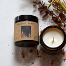 Sójová svíčka - VÁNOČNÍ DOMOV.... 180 ML