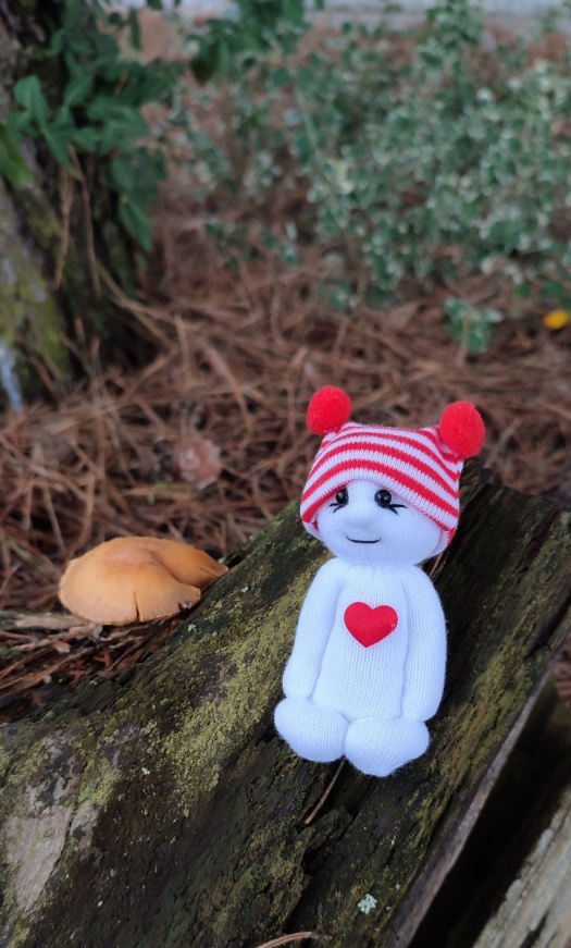Skříteček do dlaně. MINI č.2621/S