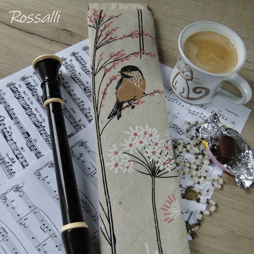 Sýkorka ... pouzdro na flétnu