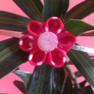 Kanzashi Higurashi