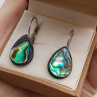 Abalone paua shell perleť elegantní náušnice na chirurgické oceli