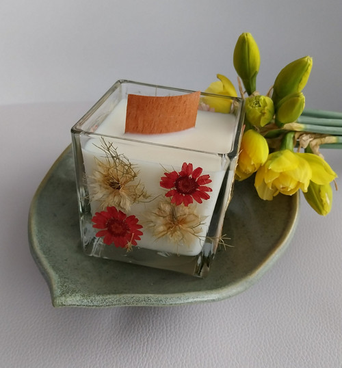 Svíčka rozkvetlá louka I.