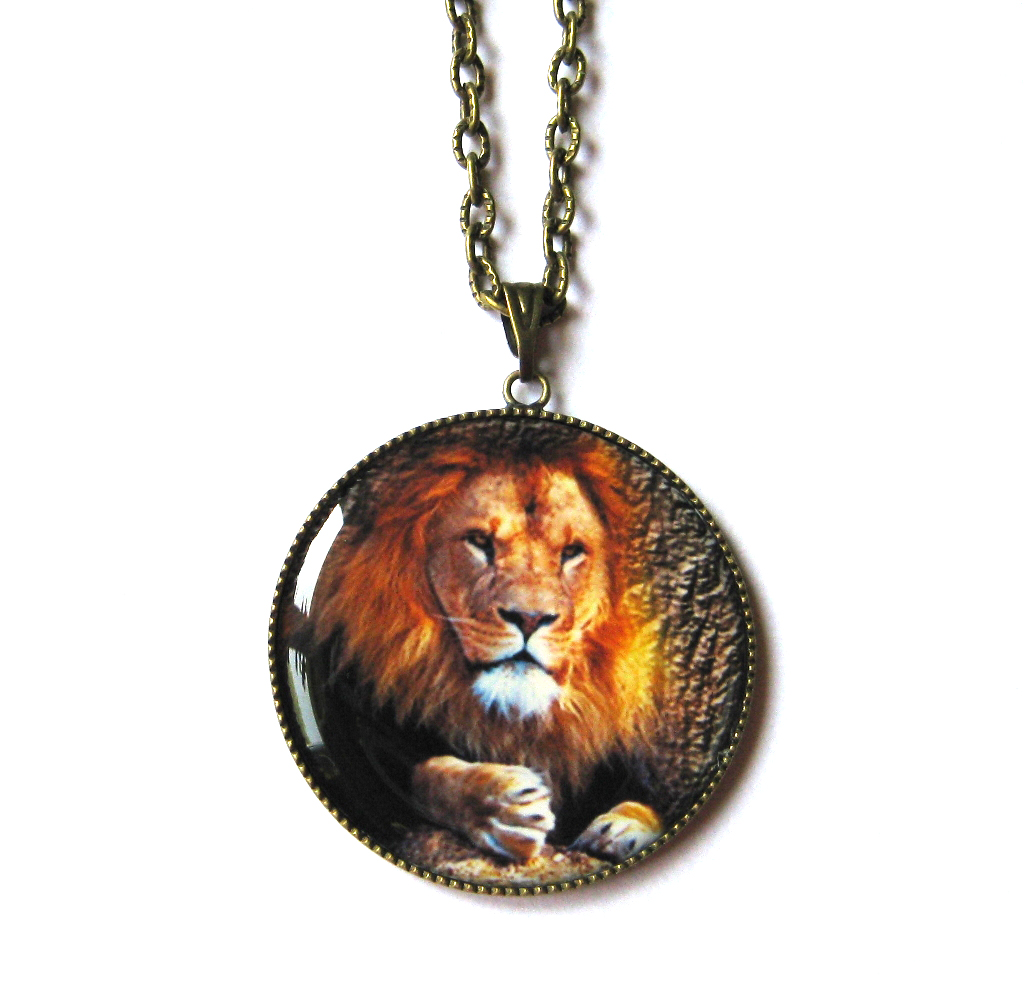 Ohnivý Lev ve zkratce - já a okolí .