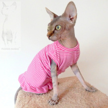 Triko pro Sphynx