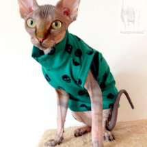 Triko pro Sphynx- lebka zelená