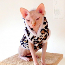 Mikinka pro Sphynxe s ouškama:-)