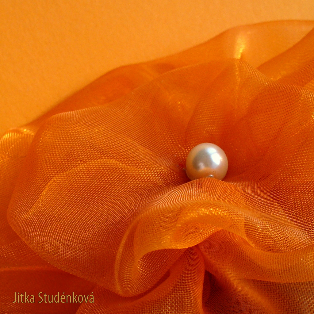 Na louce vyrostla květina II.