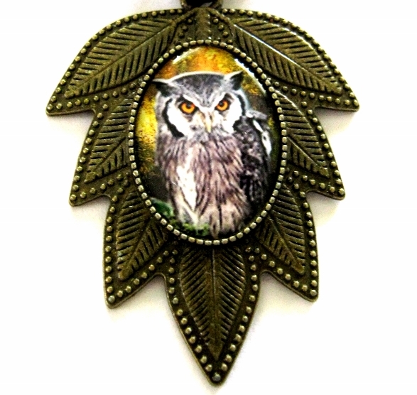 Sova kouzelná a tajemná.