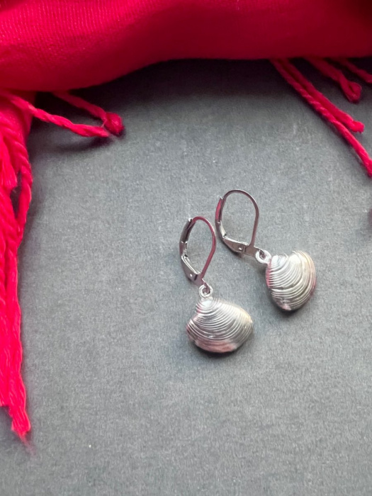 Mušličkové náušnice - S.Steel