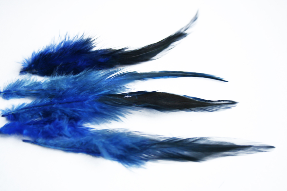 Kohoutí pírka MODRÁ