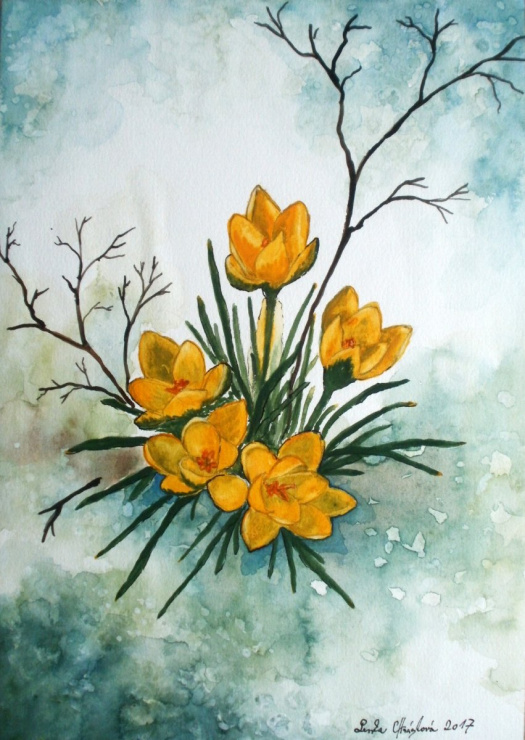 Obraz - Krokusy v zimě