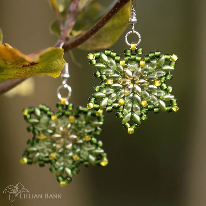 Náušnice LARITA acero