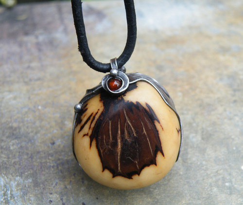 Phytelepas macrocarpa x Euterpe precatoria