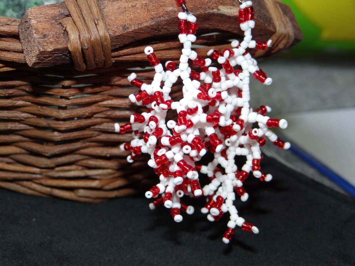 Náušnice - Koraly #1