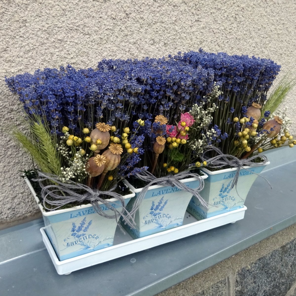 Tři květníky levandulové...