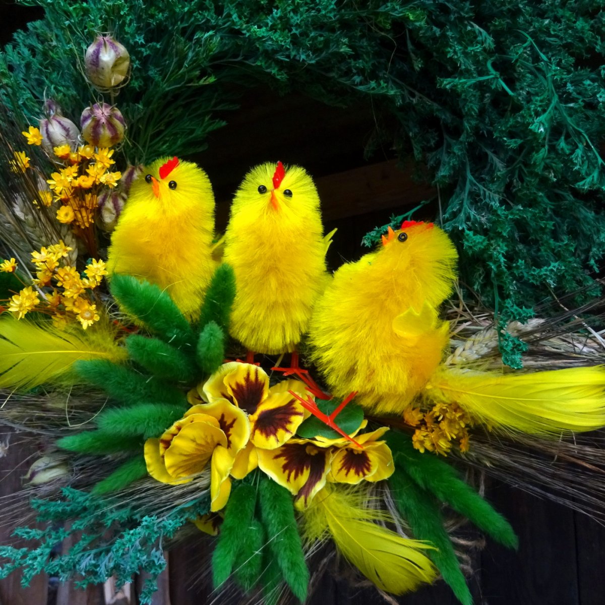 Věnec - Jarní líhnutí 2