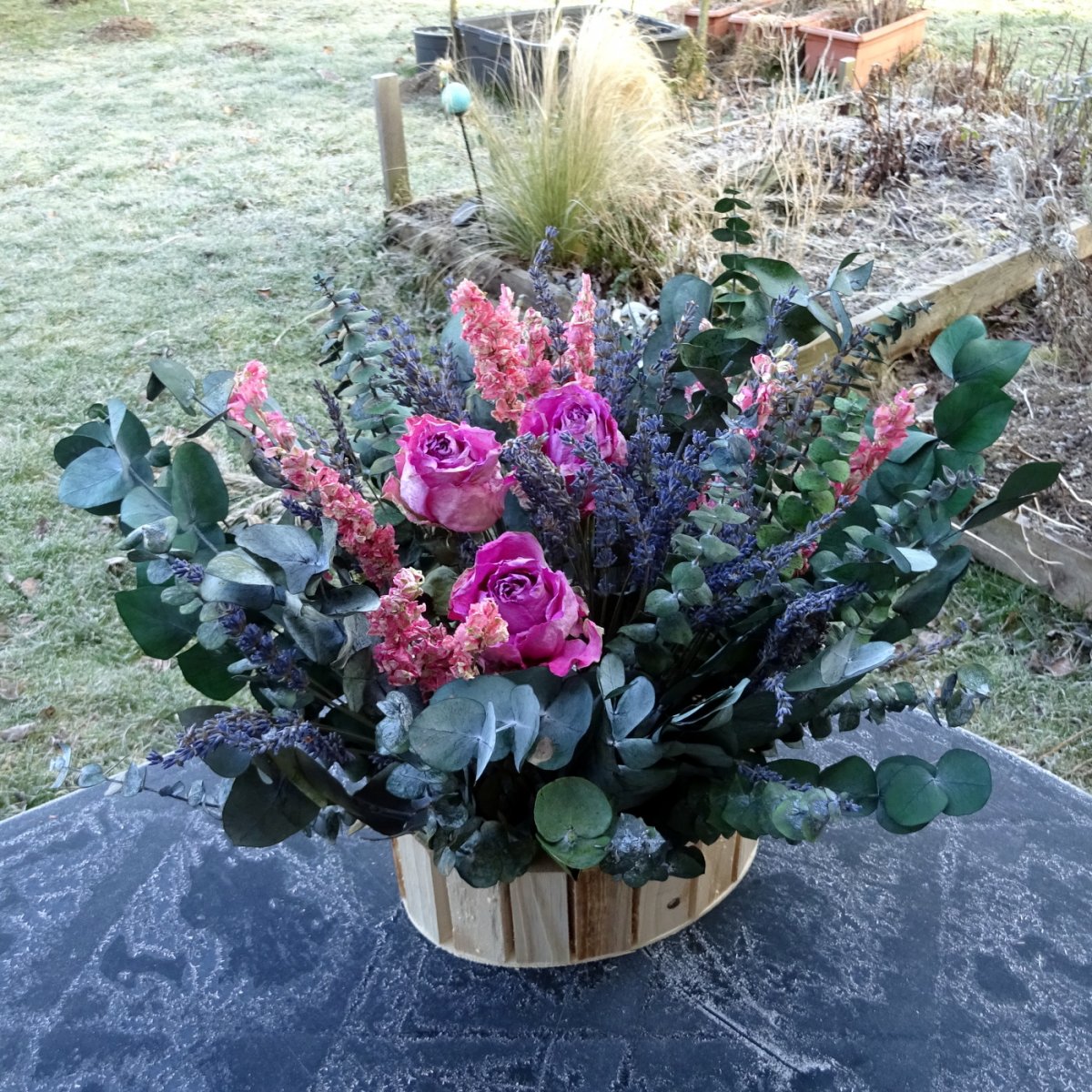 Košík - Krása eucalyptu