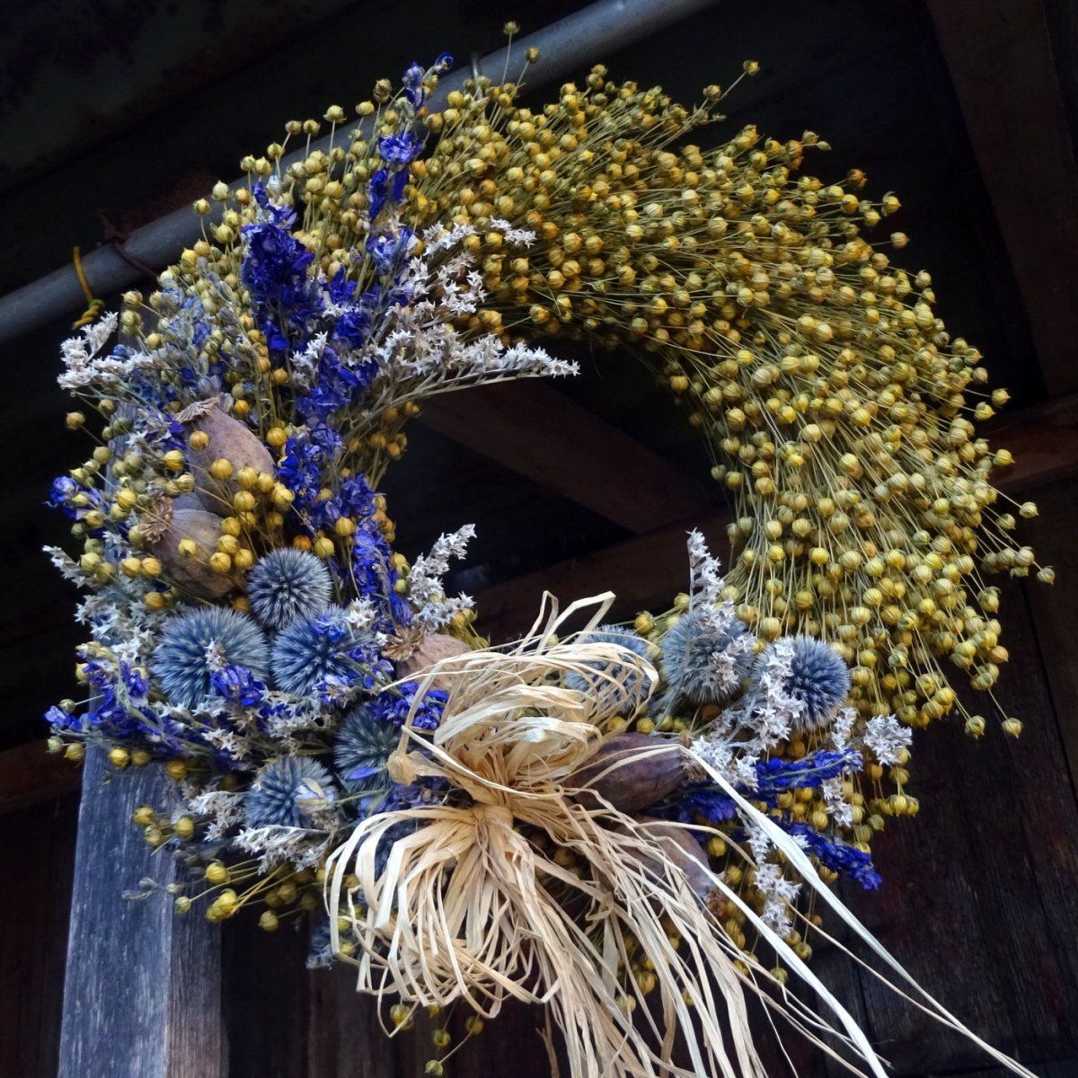 Věnec - Lněný modrásek